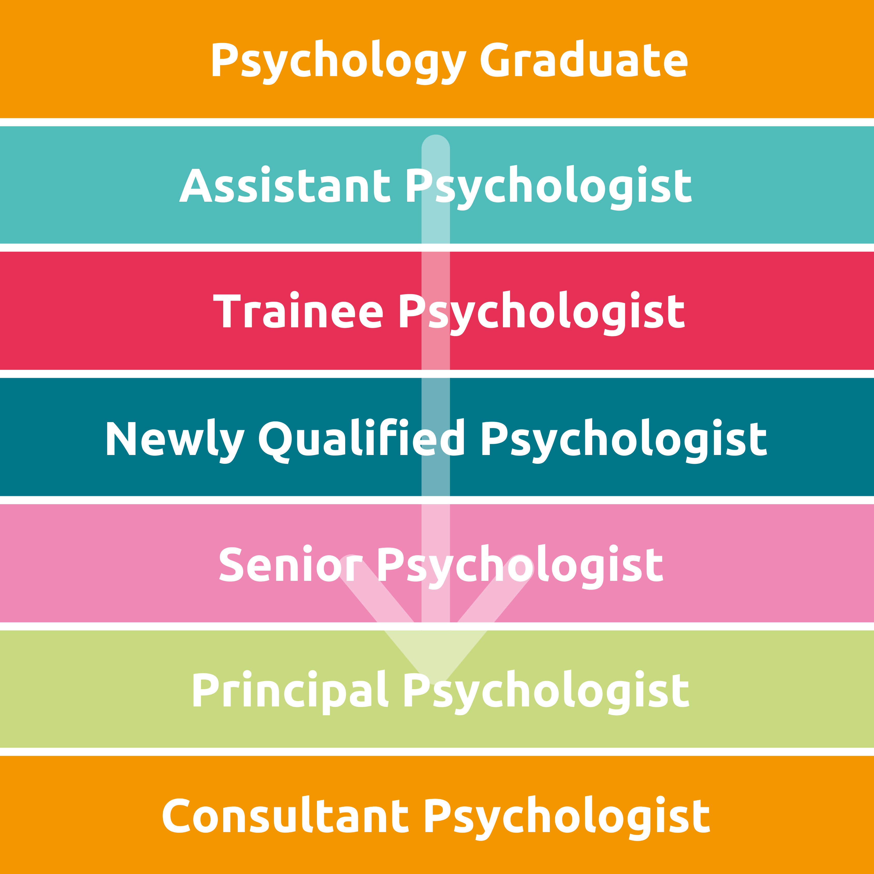 Psychologist Career Structure